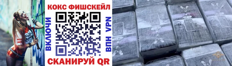Купить закладки  Лаишево  COCAIN Fish Scale 