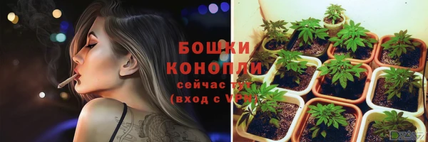 спиды Коряжма