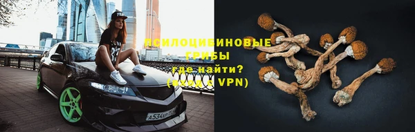 мяу мяу мука Кодинск