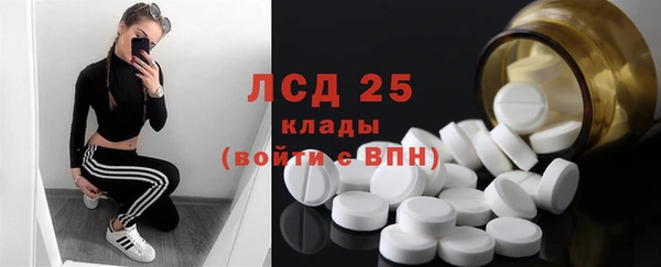 сатива Беслан