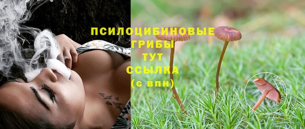 спиды Коряжма