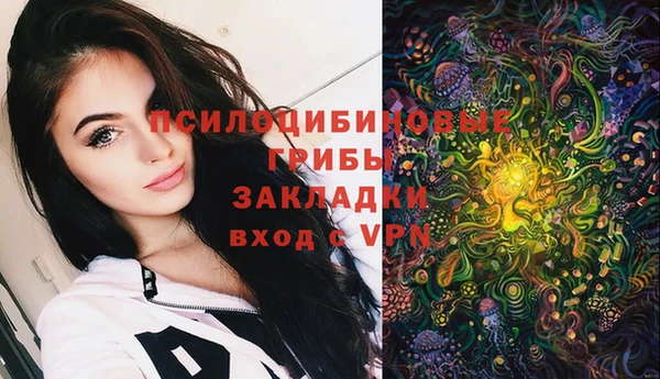 марки nbome Козловка